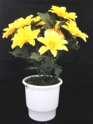 Λουλούδια Γλαστράκι Νο160