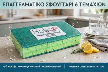 Σφουγγάρι με Σύρμα Επαγγελματικό 6 τεμ.