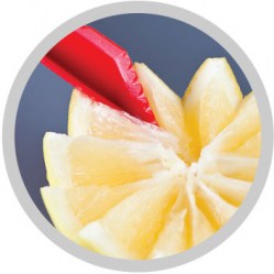 Αποφλοιωτής Νο605